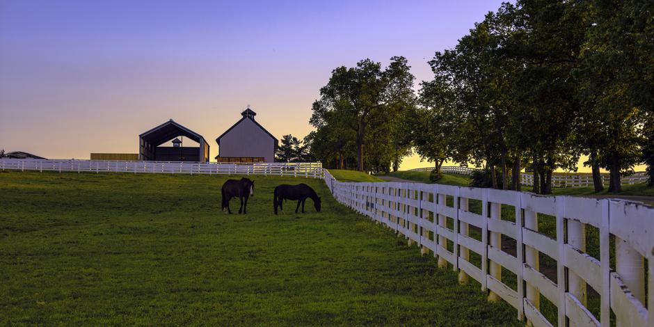 Farma konja, Kentucky