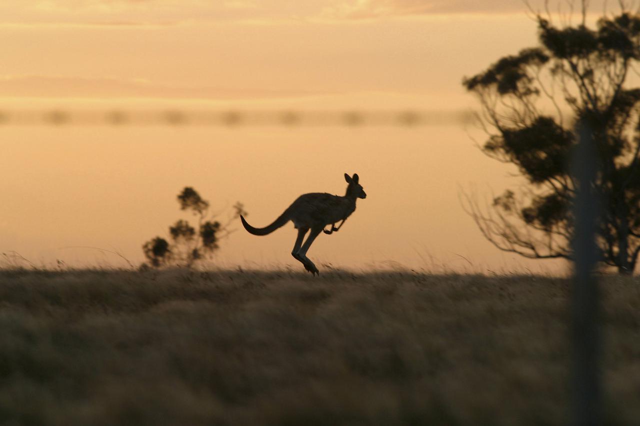 Australija