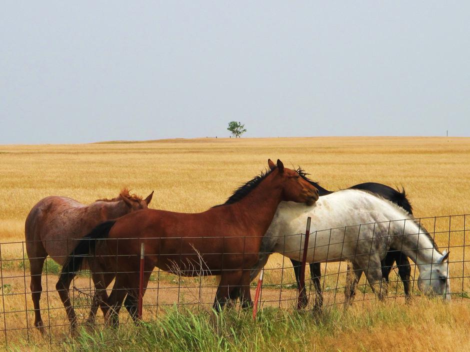 Oklahoma