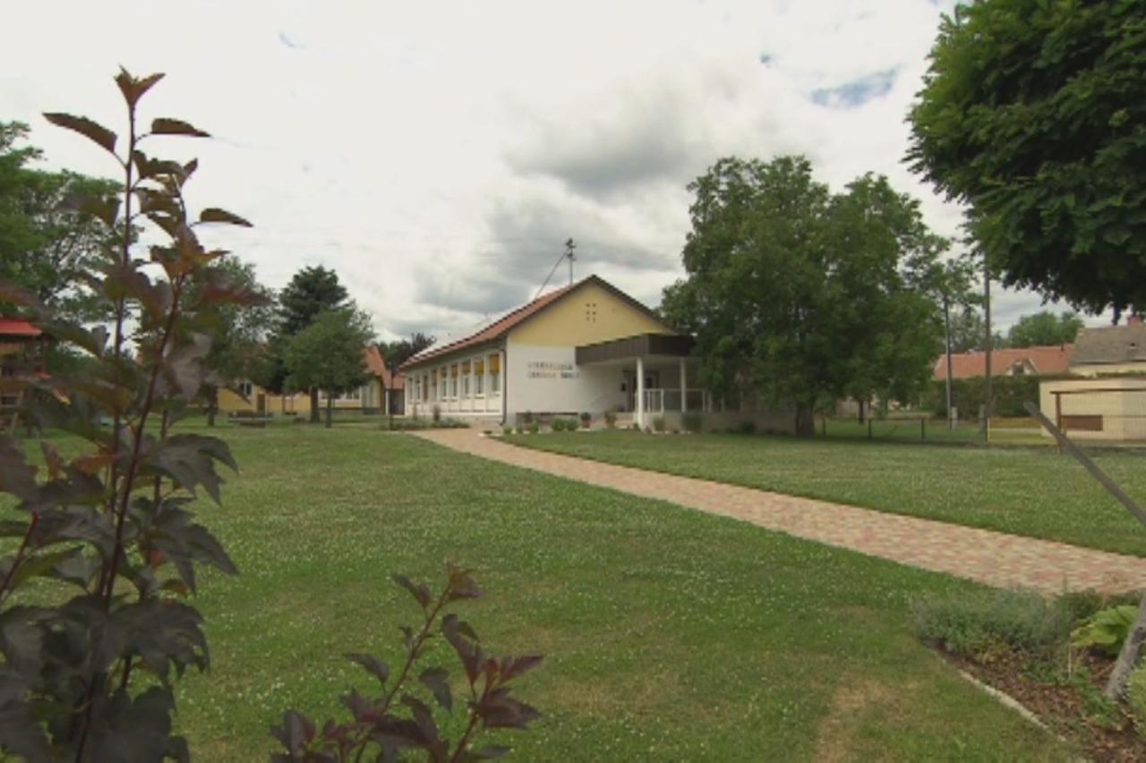 Škola