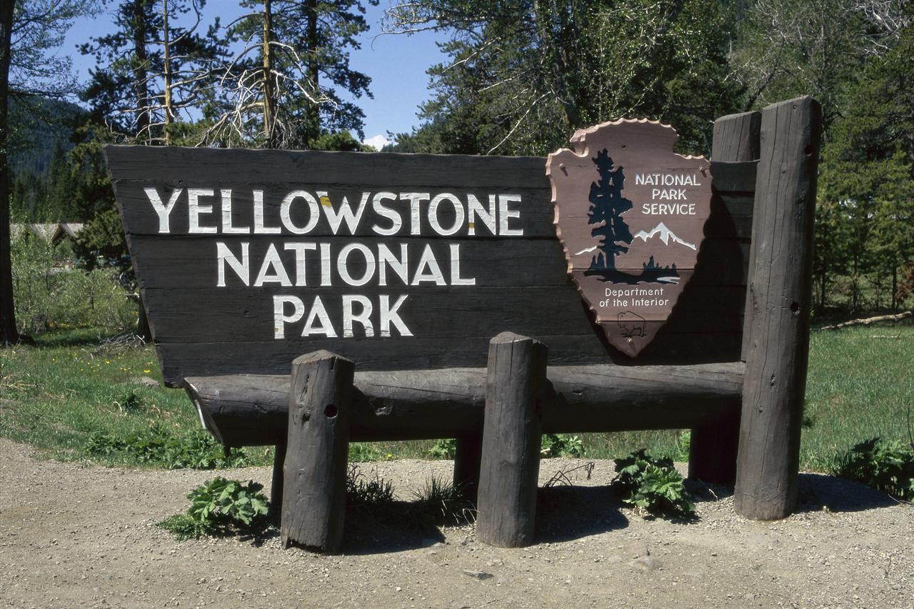 Yellowstone
