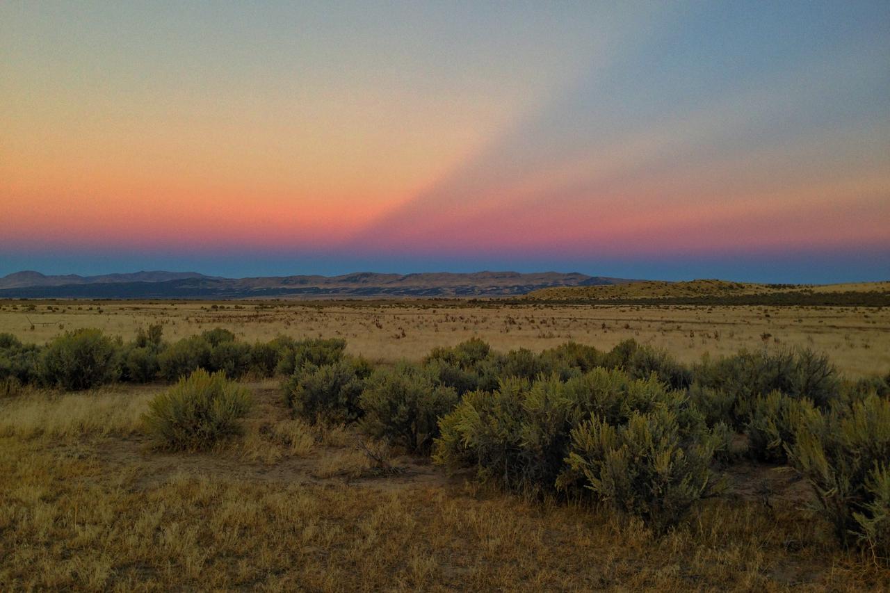Elko