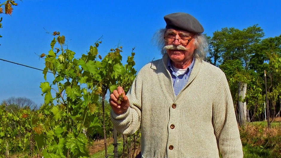 Krešo Mikulić