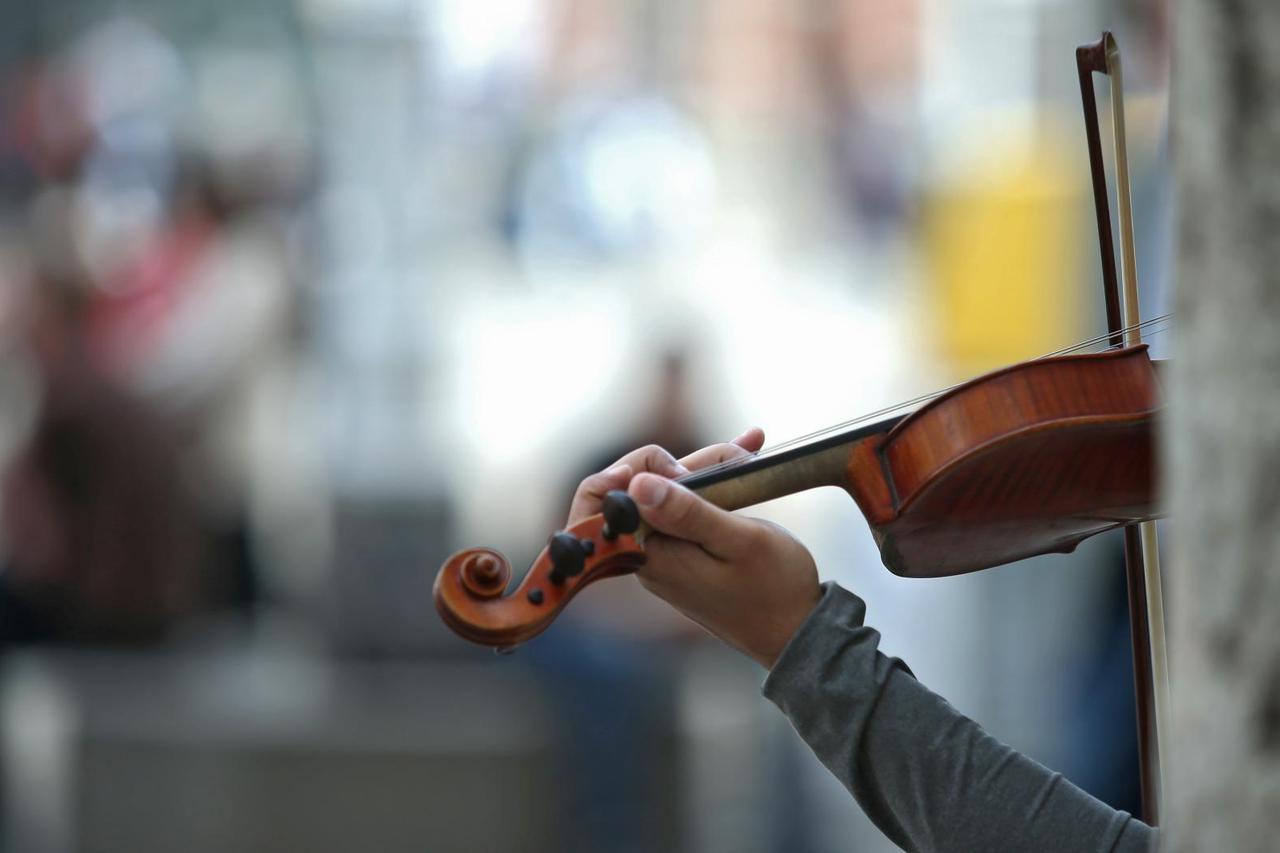 Violina